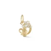 Aquarius Charm