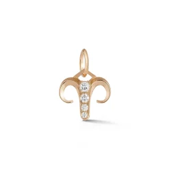 Aries Charm