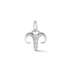 Aries Charm