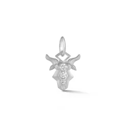 Capricorn Charm