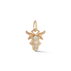Capricorn Charm