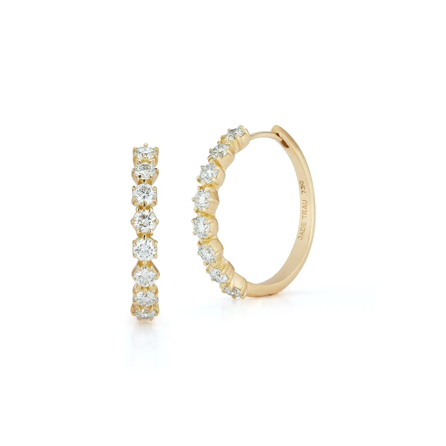 Catherine Eternity Hoops