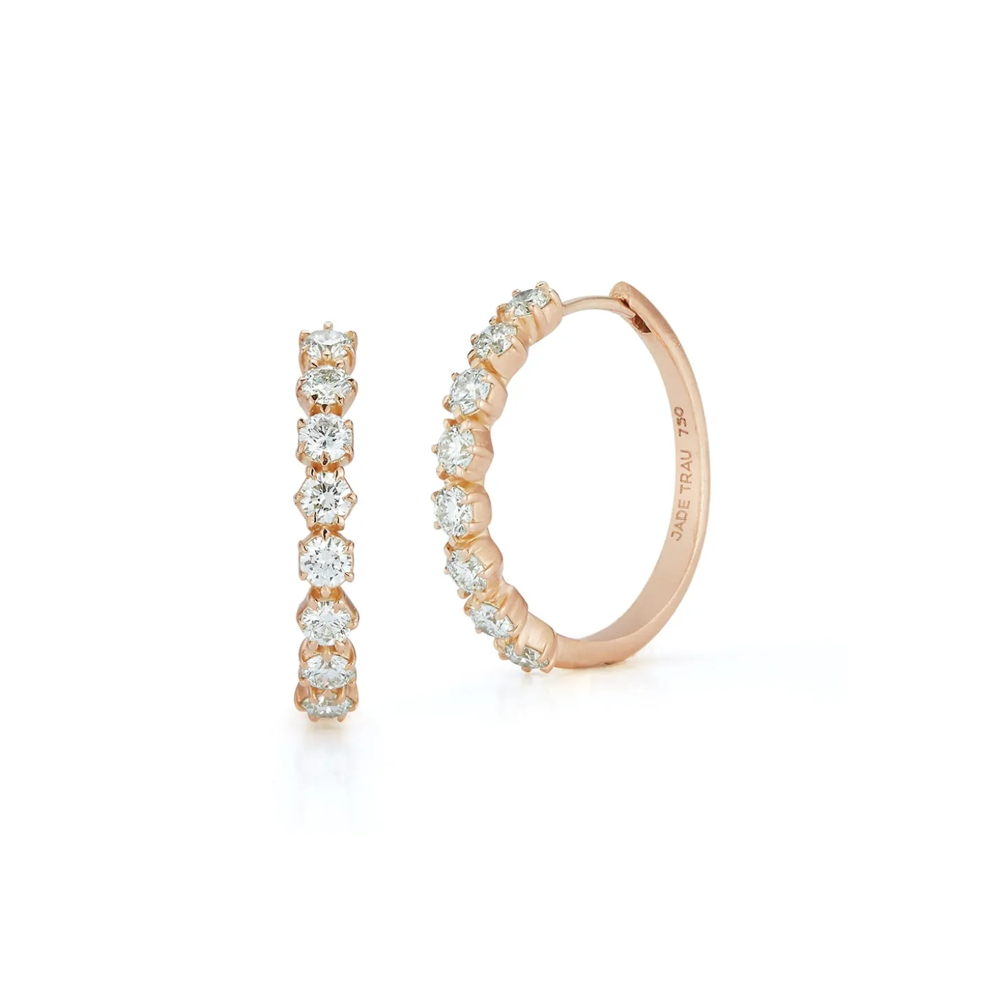 Catherine Eternity Hoops