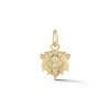 Leo Charm