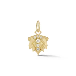 Leo Charm