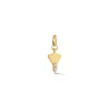 Mini Posey Key Charm