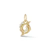 Pisces Charm