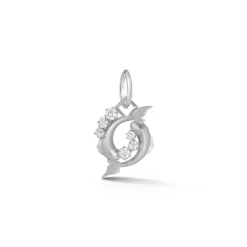 Pisces Charm