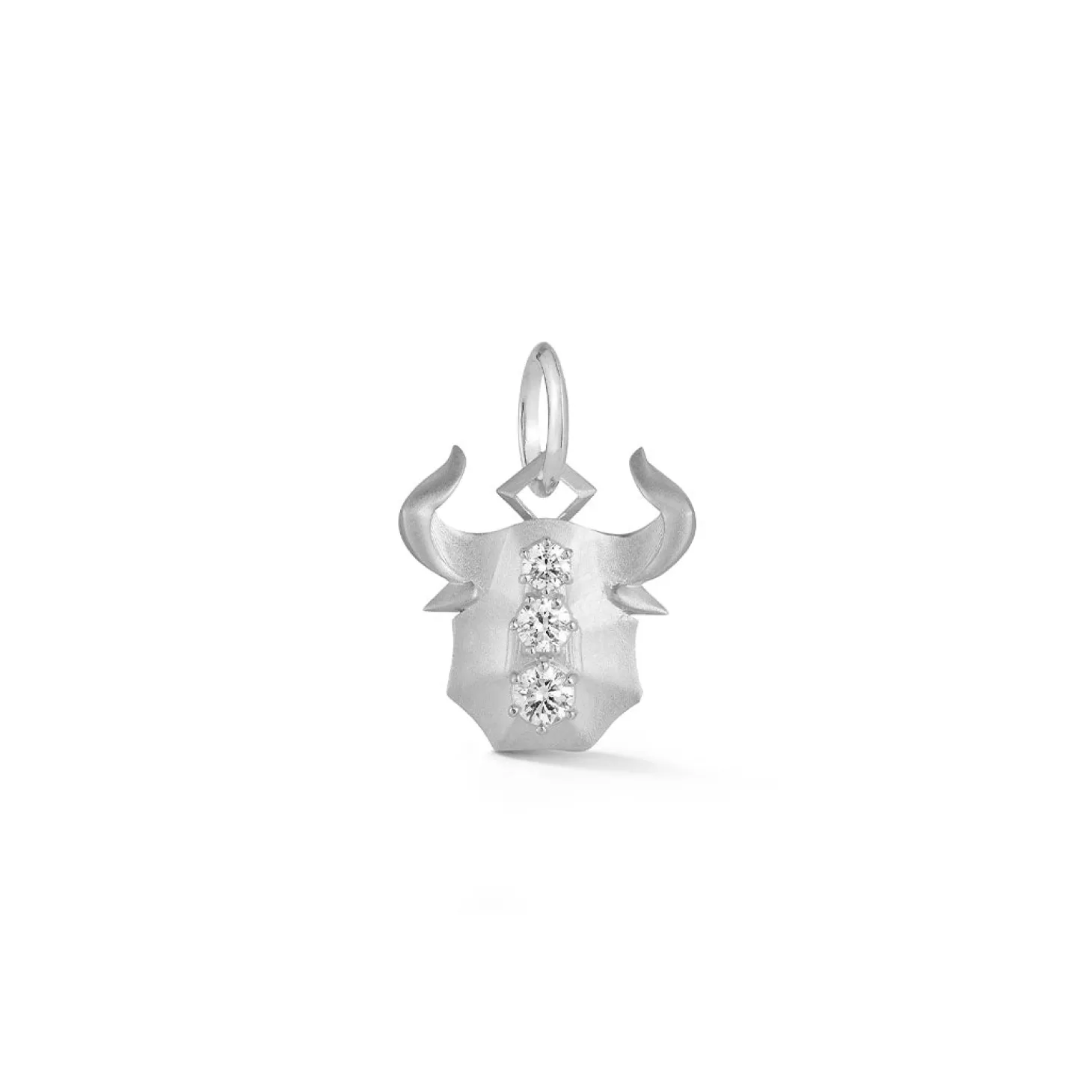 Taurus Charm